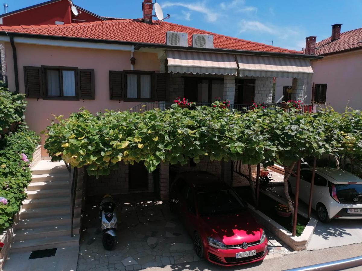 Apartman Bruna Novigrad  Ngoại thất bức ảnh